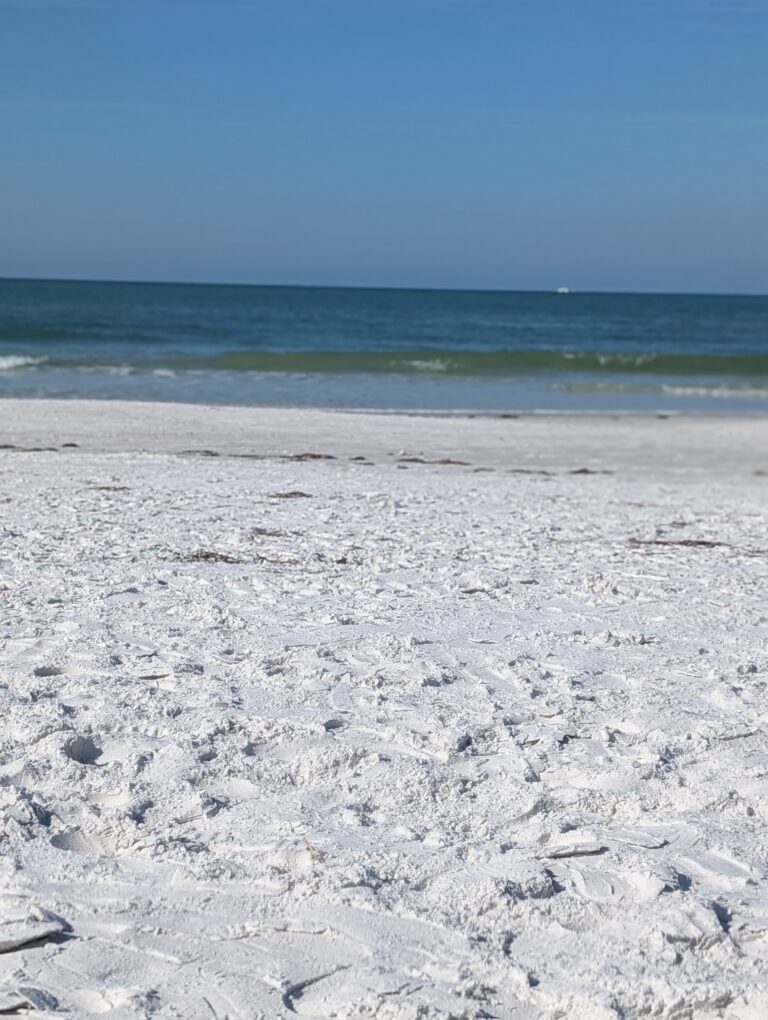 Sun, Sand, and Serenity: Discovering the Unique Beaches of Siesta Key