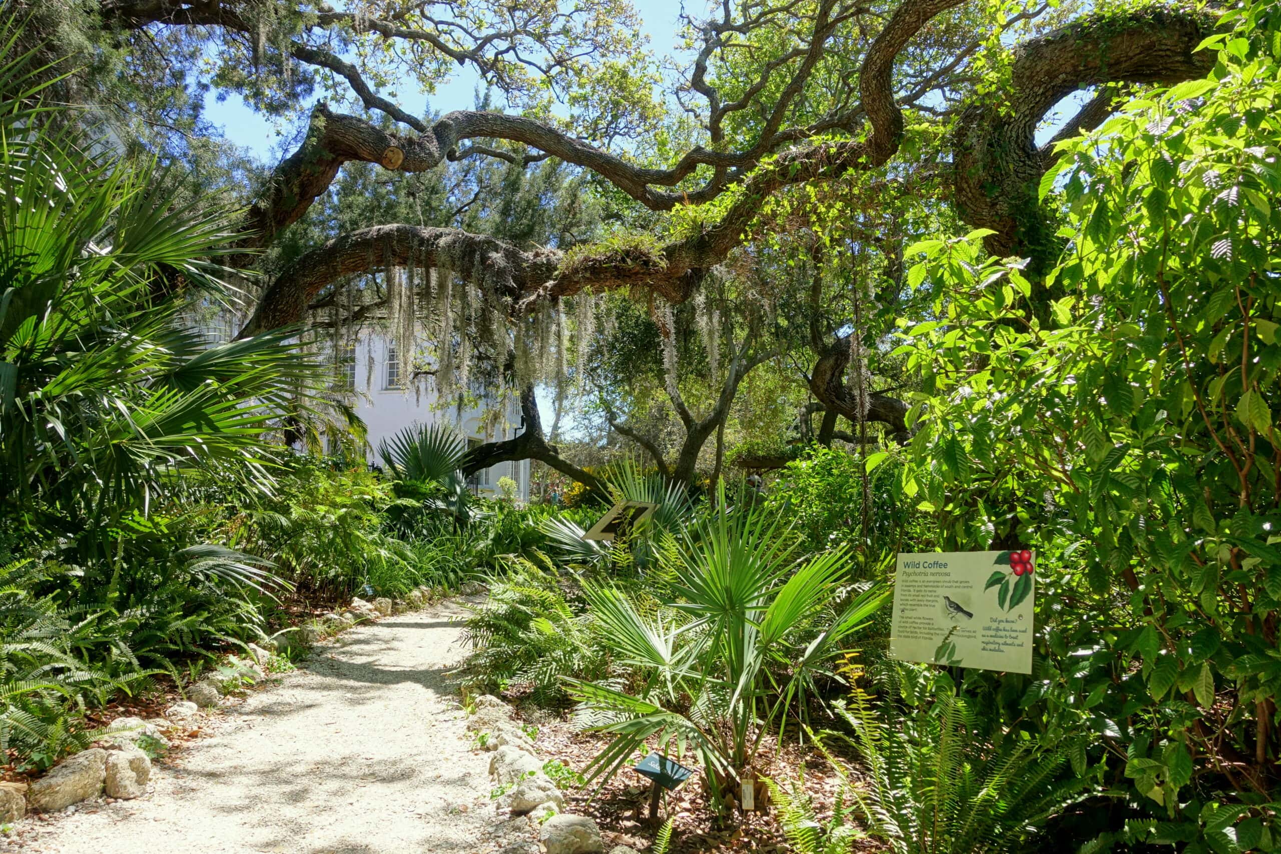 Marie Selby Botanical Gardens Walkway