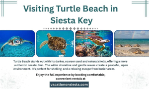Visiting Turtle Beach in Siesta Key