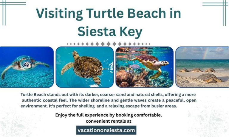 Visiting Turtle Beach in Siesta Key