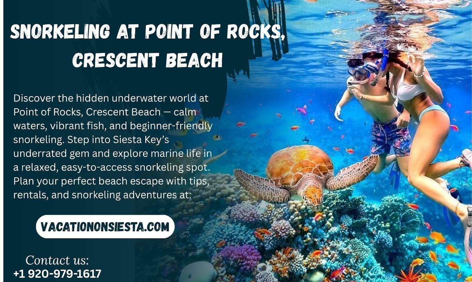 Snorkeling at Point of Rocks