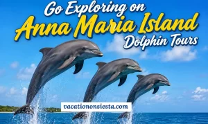 Go Exploring on Anna Maria Island Dolphin Tours